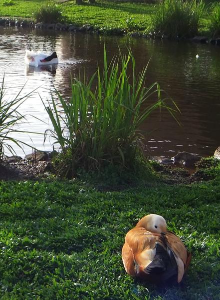 </BR>Maker: FUJIFILM</BR>Model: FinePix REAL 3D W3</BR>Exposure Time: 1/200s</BR>F-stop: f/5.6</BR>ISO: 100</BR>Focal Length: 8mm