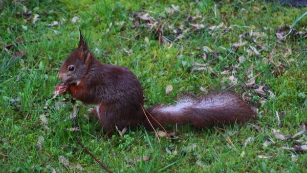 </BR>Maker: CANON</BR>Model: Canon EOS Rebel SL3</BR>Exposure Time: 1/640s</BR>F-stop: f/5.6</BR>ISO: 2000</BR>Focal Length: 300mm