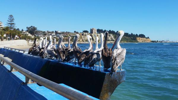 </BR>Maker: SAMSUNG</BR>Model: SM-G900MD</BR>Exposure Time: 1/920s</BR>F-stop: f/2.2</BR>ISO: 40</BR>Focal Length: 5mm</BR>35mm Focal Length: 31mm