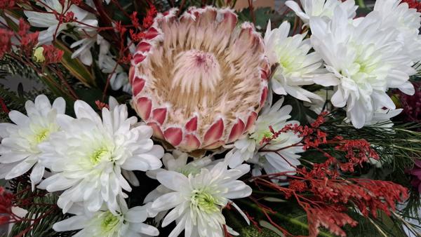 </BR>Maker: SAMSUNG</BR>Model: Galaxy A55 5G</BR>Exposure Time: 1/100s</BR>F-stop: f/1.8</BR>ISO: 200</BR>Focal Length: 6mm</BR>35mm Focal Length: 23mm