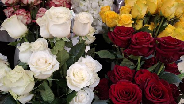 </BR>Maker: SAMSUNG</BR>Model: Galaxy A55 5G</BR>Exposure Time: 1/50s</BR>F-stop: f/1.8</BR>ISO: 200</BR>Focal Length: 6mm</BR>35mm Focal Length: 23mm