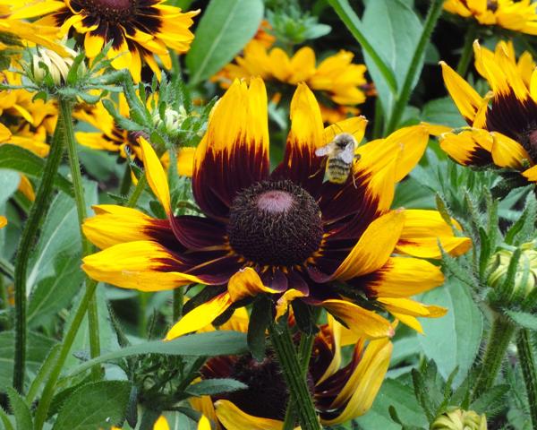 </BR>Maker: SONY</BR>Model: DSC-WX1</BR>Exposure Time: 1/125s</BR>F-stop: f/5.9</BR>ISO: 250</BR>Focal Length: 22mm