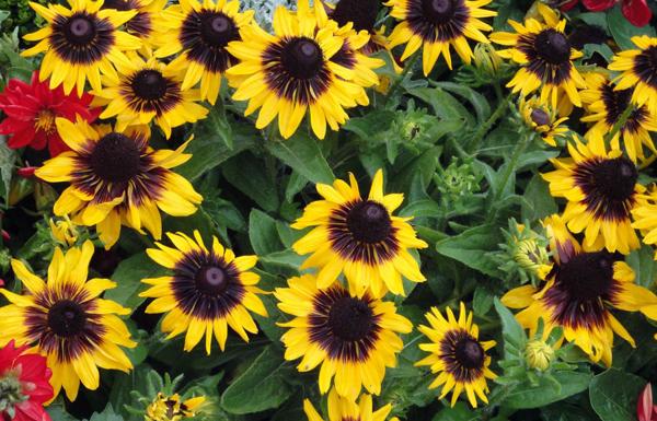 </BR>Maker: SONY</BR>Model: DSC-WX1</BR>Exposure Time: 1/400s</BR>F-stop: f/4.5</BR>ISO: 160</BR>Focal Length: 14mm