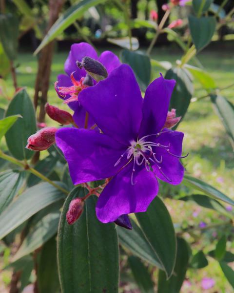 </BR>Maker: CANON</BR>Model: Canon EOS Rebel SL3</BR>Exposure Time: 1/80s</BR>F-stop: f/10</BR>ISO: 250</BR>Focal Length: 18mm