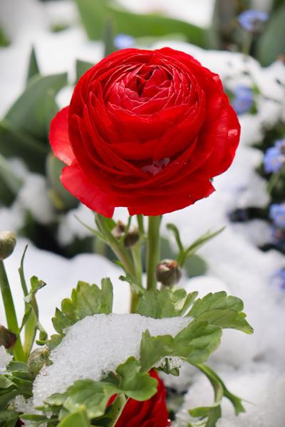 </BR>Maker: CANON</BR>Model: Canon EOS Rebel SL3</BR>Exposure Time: 1/320s</BR>F-stop: f/7.1</BR>ISO: 100</BR>Focal Length: 55mm