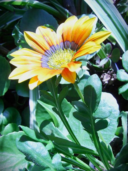 DIGITAL CAMERA</BR>Maker: DIGITAL</BR>Model: Digital Cam</BR>Exposure Time: 1/64s</BR>F-stop: f/5.88</BR>ISO: 100</BR>Focal Length: 6mm