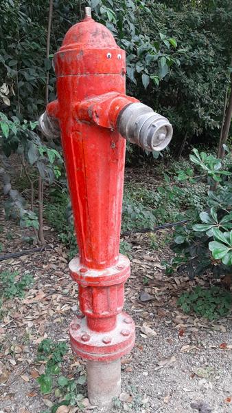 </BR>Maker: SAMSUNG</BR>Model: SM-A505F</BR>Exposure Time: 1/50s</BR>F-stop: f/1.7</BR>ISO: 64</BR>Focal Length: 4mm</BR>35mm Focal Length: 26mm