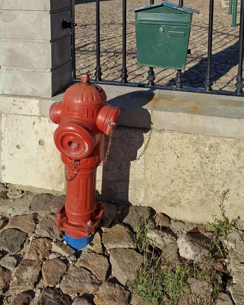 </BR>Maker: SAMSUNG</BR>Model: Galaxy A55 5G</BR>Exposure Time: 1/3257s</BR>F-stop: f/1.8</BR>ISO: 50</BR>Focal Length: 6mm</BR>35mm Focal Length: 23mm