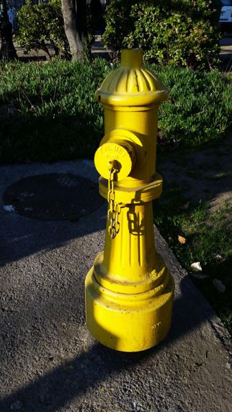 </BR>Maker: SAMSUNG</BR>Model: SM-G900MD</BR>Exposure Time: 1/421s</BR>F-stop: f/2.2</BR>ISO: 40</BR>Focal Length: 5mm</BR>35mm Focal Length: 31mm