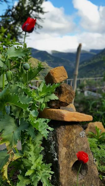 </BR>Maker: SAMSUNG</BR>Model: SM-G900MD</BR>F-stop: f/2.2</BR>Focal Length: 5mm</BR>35mm Focal Length: 31mm