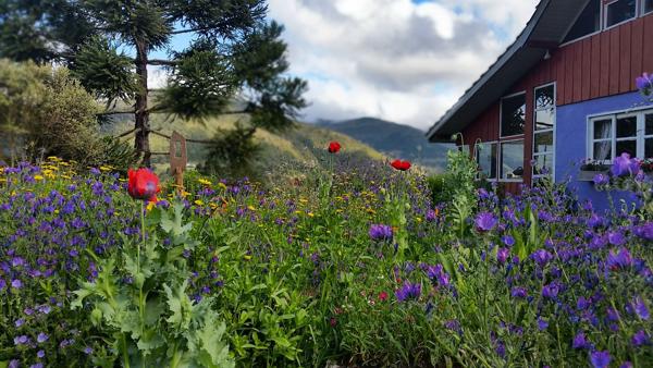 </BR>Maker: SAMSUNG</BR>Model: SM-G900MD</BR>F-stop: f/2.2</BR>Focal Length: 5mm</BR>35mm Focal Length: 31mm