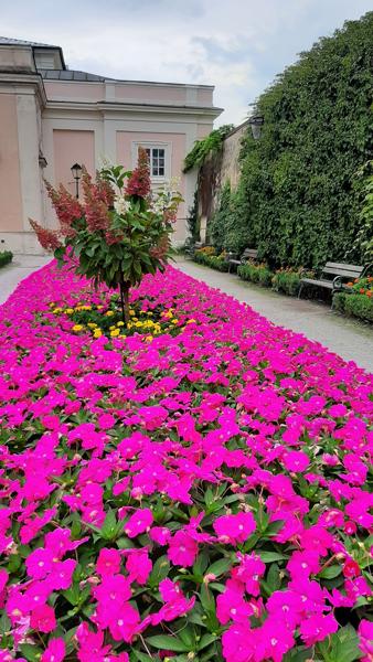 </BR>Maker: SAMSUNG</BR>Model: SM-A505F</BR>Exposure Time: 1/373s</BR>F-stop: f/1.7</BR>ISO: 40</BR>Focal Length: 4mm</BR>35mm Focal Length: 26mm