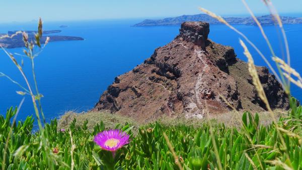 </BR>Maker: CANON</BR>Model: Canon PowerShot SX740 HS</BR>Exposure Time: 1/1000s</BR>F-stop: f/4</BR>ISO: 100</BR>Focal Length: 5mm