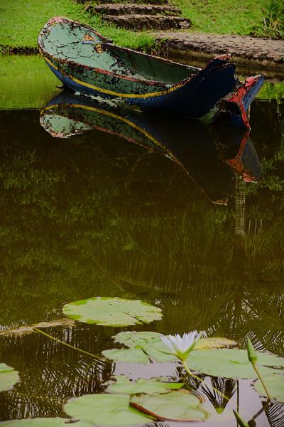 OLYMPUS DIGITAL CAMERA</BR>Maker: OLYMPUS IMAGING CORP.</BR>Model: FE310,X840,C530</BR>Exposure Time: 1/200s</BR>F-stop: f/4.3</BR>ISO: 80</BR>Focal Length: 16mm