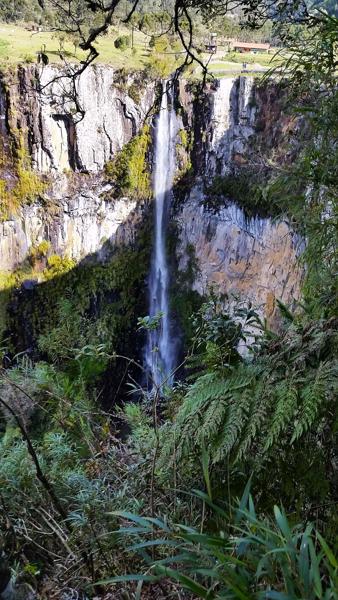 </BR>Maker: SAMSUNG</BR>Model: SM-G900MD</BR>Exposure Time: 1/289s</BR>F-stop: f/2.2</BR>ISO: 40</BR>Focal Length: 5mm</BR>35mm Focal Length: 31mm