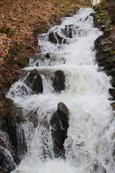 </BR>Maker: CANON</BR>Model: Canon EOS Rebel SL3</BR>Exposure Time: 1/2000s</BR>F-stop: f/3.5</BR>ISO: 6400</BR>Focal Length: 28mm