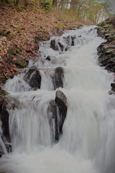 </BR>Maker: CANON</BR>Model: Canon EOS Rebel SL3</BR>Exposure Time: 1/20s</BR>F-stop: f/3.5</BR>ISO: 125</BR>Focal Length: 28mm