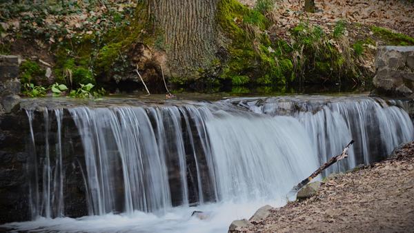 </BR>Maker: CANON</BR>Model: Canon EOS Rebel SL3</BR>Exposure Time: 1/10s</BR>F-stop: f/5.6</BR>ISO: 125</BR>Focal Length: 98mm