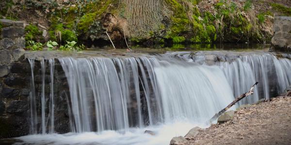 </BR>Maker: CANON</BR>Model: Canon EOS Rebel SL3</BR>Exposure Time: 1/6s</BR>F-stop: f/7.1</BR>ISO: 100</BR>Focal Length: 98mm