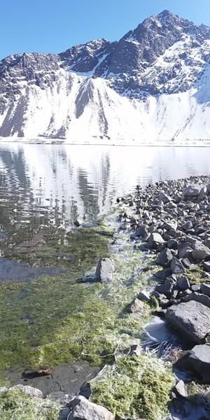 </BR>Maker: SAMSUNG</BR>Model: SM-G900MD