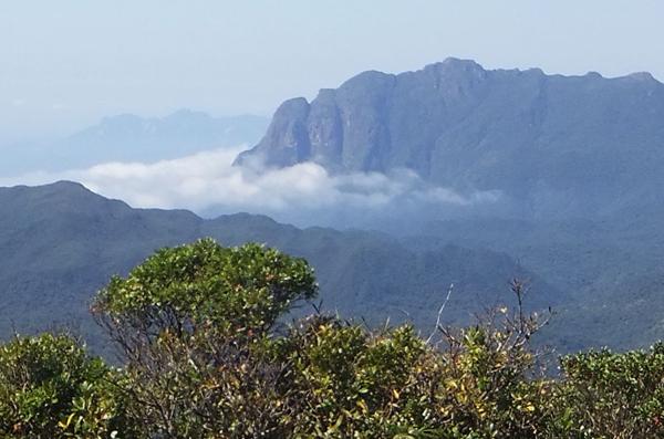 </BR>Maker: FUJIFILM</BR>Model: FinePix REAL 3D W3</BR>Exposure Time: 1/450s</BR>F-stop: f/5</BR>ISO: 100</BR>Focal Length: 7mm