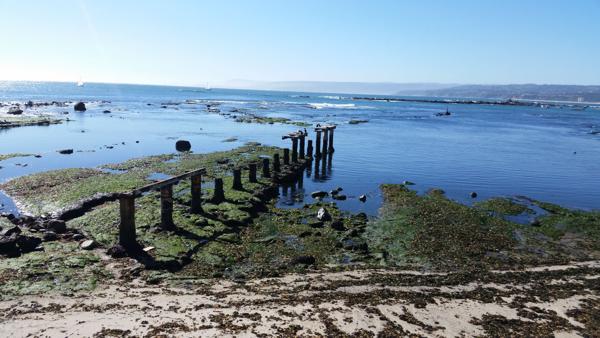 </BR>Maker: SAMSUNG</BR>Model: SM-G900MD</BR>Exposure Time: 1/984s</BR>F-stop: f/2.2</BR>ISO: 40</BR>Focal Length: 5mm</BR>35mm Focal Length: 31mm