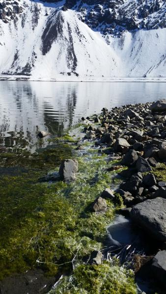 </BR>Maker: SAMSUNG</BR>Model: SM-G900MD</BR>Exposure Time: 1/1104s</BR>F-stop: f/2.2</BR>ISO: 40</BR>Focal Length: 5mm</BR>35mm Focal Length: 31mm